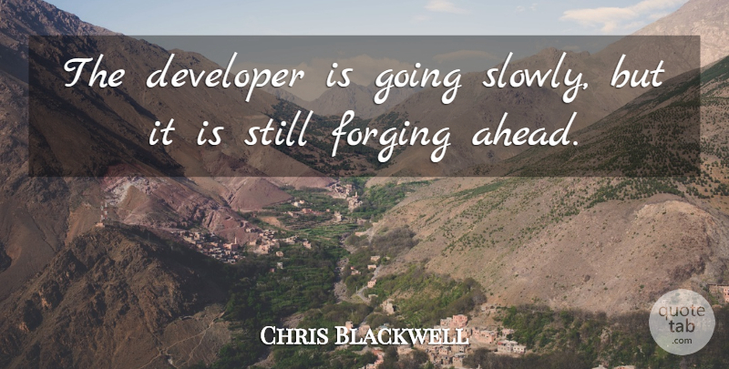 Chris Blackwell Quote About Developer: The Developer Is Going Slowly...