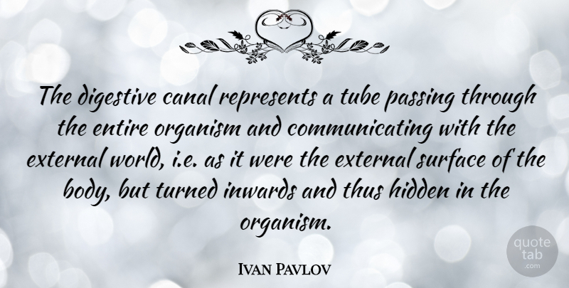 Ivan Pavlov Quote About World, Body, Passing: The Digestive Canal Represents A...