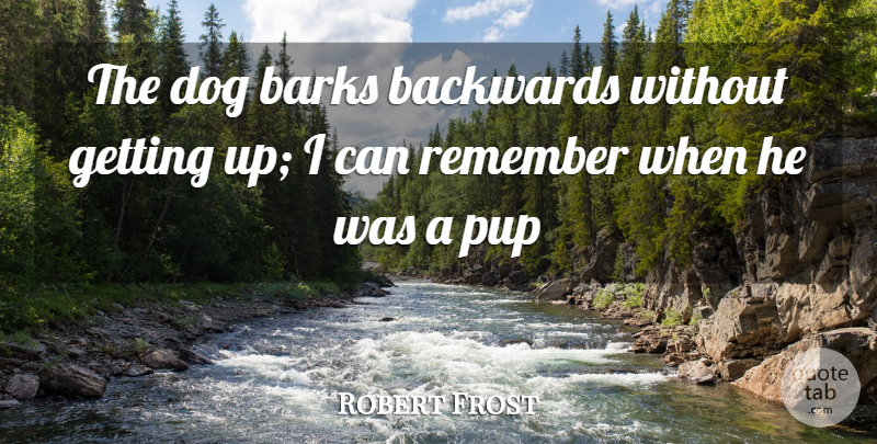Robert Frost Quote About Backwards, Barks, Dog, Remember: The Dog Barks Backwards Without...