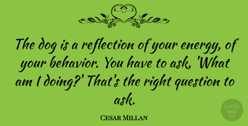 Cesar Millan Quote About Dog, Reflection, Energy: The Dog Is A Reflection...