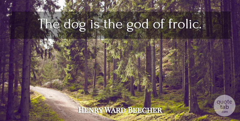 Henry Ward Beecher Quote About Dog, War, Animal: The Dog Is The God...