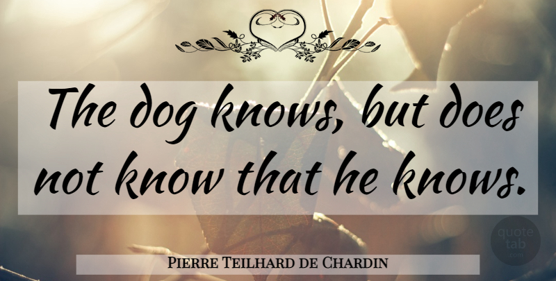 Pierre Teilhard de Chardin Quote About Dog, Pet, Doe: The Dog Knows But Does...