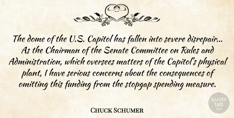 Chuck Schumer Quote About Capitol, Chairman, Committee, Concerns, Consequences: The Dome Of The U...