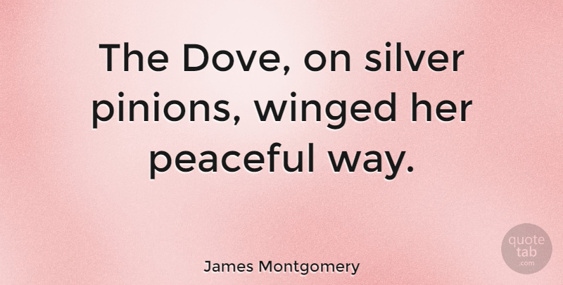 James Montgomery Quote About Peace, Way, Silver: The Dove On Silver Pinions...