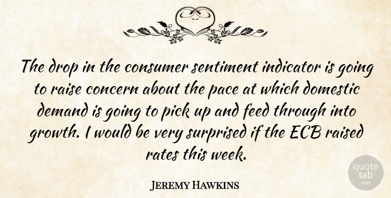 Jeremy Hawkins Quote About Concern, Consumer, Demand, Domestic, Drop: The Drop In The Consumer...