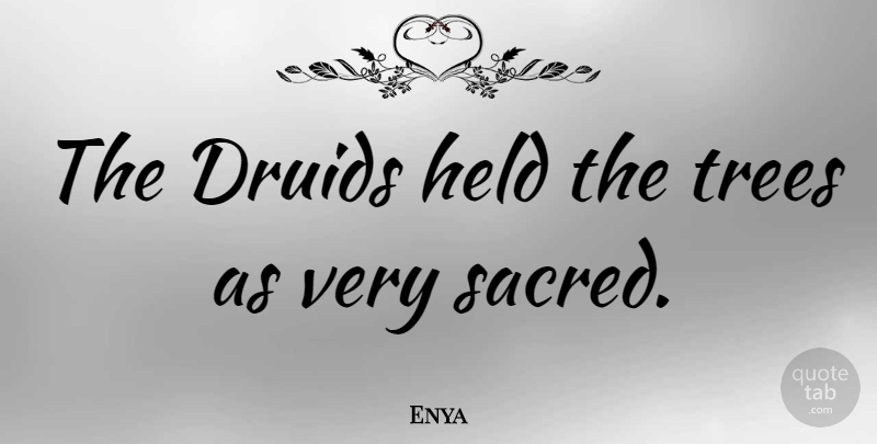 Enya Quote About undefined: The Druids Held The Trees...