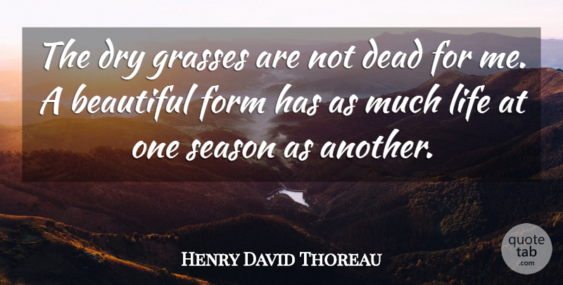 Henry David Thoreau Quote About Beautiful, Dry, Grass: The Dry Grasses Are Not...