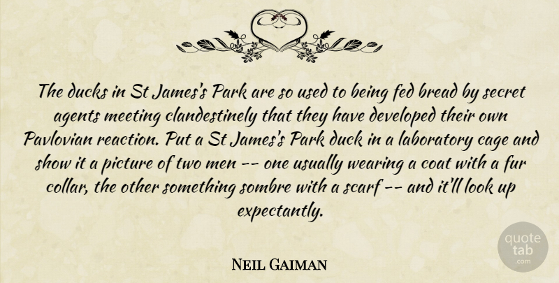 Neil Gaiman Quote About Men, Two, Ducks: The Ducks In St Jamess...