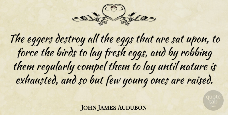 John James Audubon Quote About Compel, Destroy, Few, Force, Fresh: The Eggers Destroy All The...