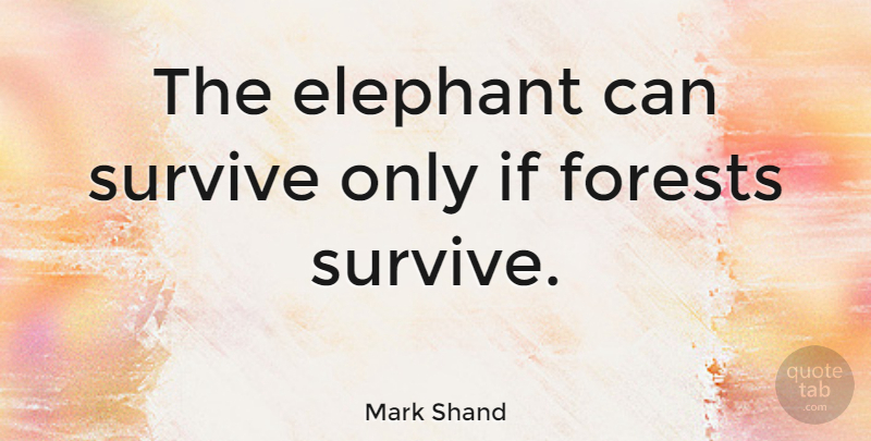 Mark Shand Quote About undefined: The Elephant Can Survive Only...