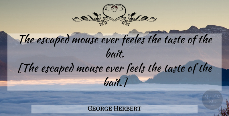 George Herbert Quote About Taste, Bait, Feels: The Escaped Mouse Ever Feeles...