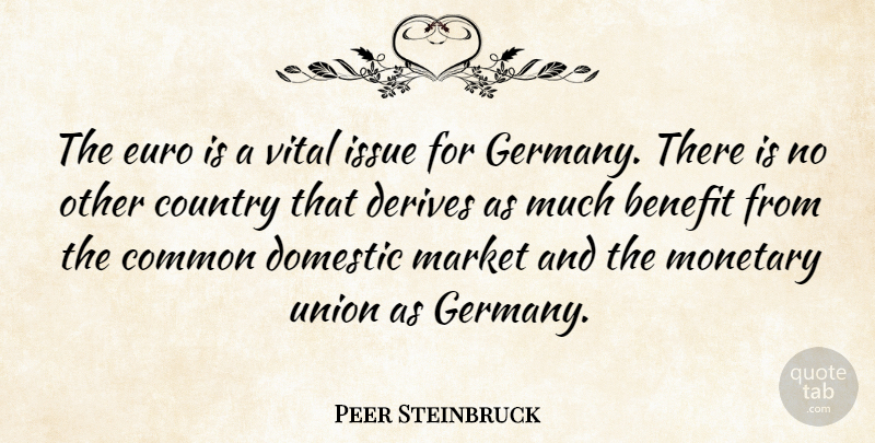 Peer Steinbruck Quote About Country, Issues, Benefits: The Euro Is A Vital...