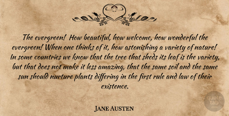 Jane Austen Quote About Beautiful, Country, Thinking: The Evergreen How Beautiful How...