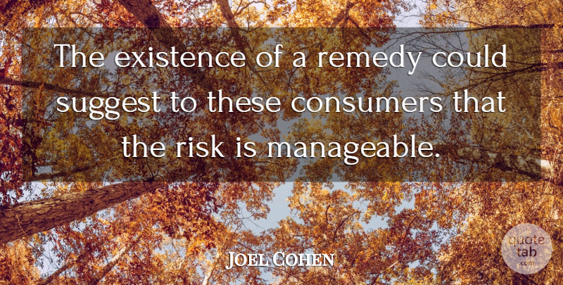 Joel Cohen Quote About Consumers, Existence, Remedy, Risk, Suggest: The Existence Of A Remedy...