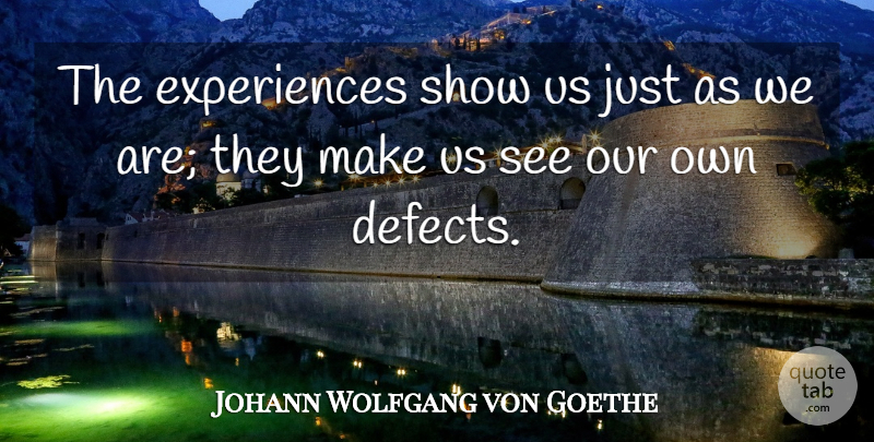 Johann Wolfgang von Goethe Quote About Shows, Defects: The Experiences Show Us Just...