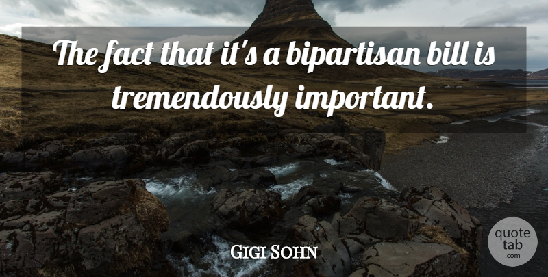 Gigi Sohn Quote About Bill, Bipartisan, Fact: The Fact That Its A...