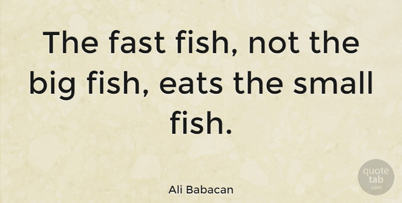 Ali Babacan Quote About Big Fish, Bigs, Fishes: The Fast Fish Not The...