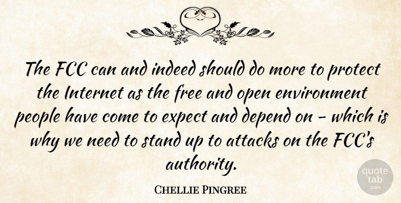 Chellie Pingree Quote About Attacks, Depend, Environment, Expect, Indeed: The Fcc Can And Indeed...
