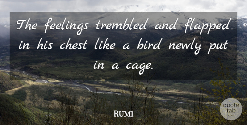 Rumi Quote About Bird, Feelings, Cages: The Feelings Trembled And Flapped...