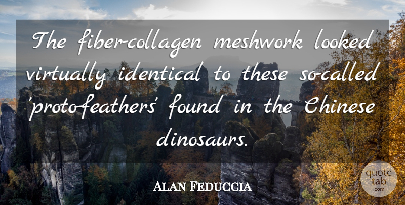 Alan Feduccia Quote About Chinese, Found, Identical, Looked, Virtually: The Fiber Collagen Meshwork Looked...