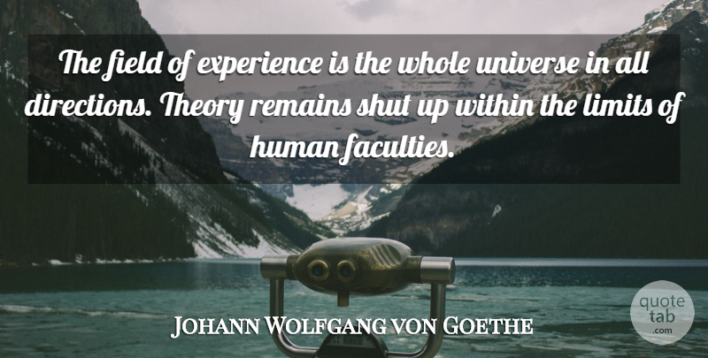 Johann Wolfgang von Goethe Quote About Experience, Limits, Fields: The Field Of Experience Is...