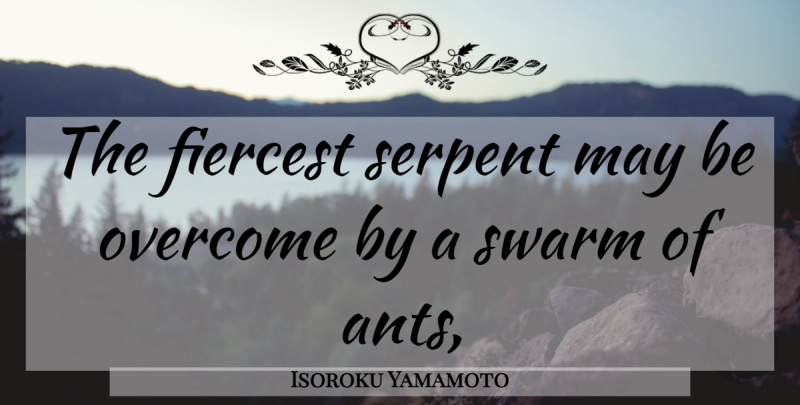 Isoroku Yamamoto Quote About May, Ants, Overcoming: The Fiercest Serpent May Be...