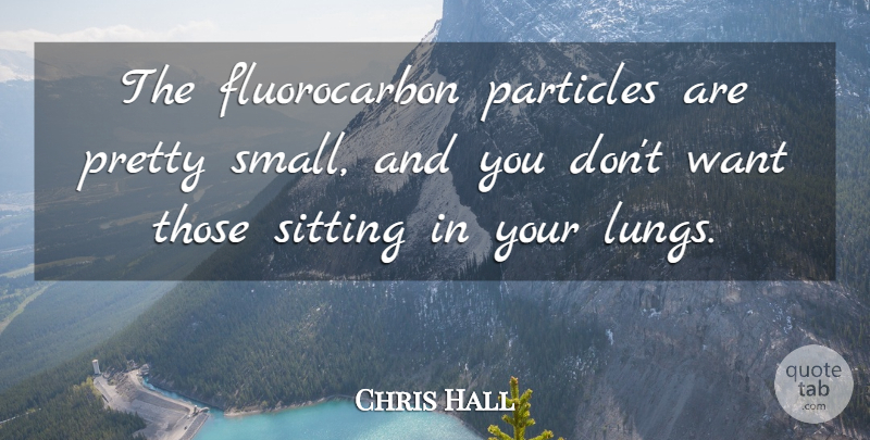 Chris Hall Quote About Particles, Sitting: The Fluorocarbon Particles Are Pretty...