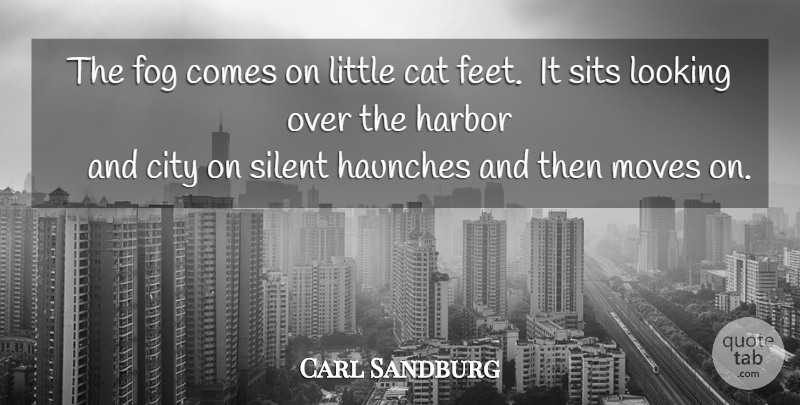 Carl Sandburg Quote About Nature, Moving, Cat: The Fog Comes On Little...