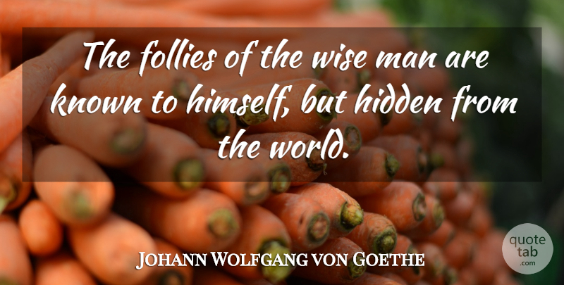 Johann Wolfgang von Goethe Quote About Wise, Men, Fools Day: The Follies Of The Wise...