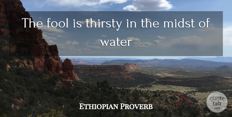 Ethiopian Proverb Quote About Fool, Midst, Thirsty, Water: The Fool Is Thirsty In...
