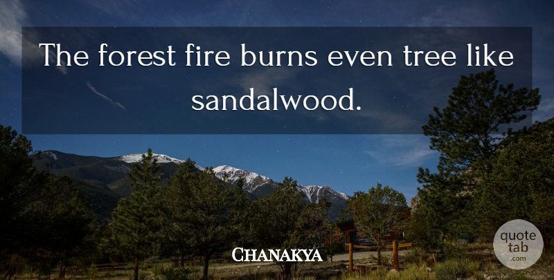 Chanakya Quote About Fire, Tree, Political: The Forest Fire Burns Even...