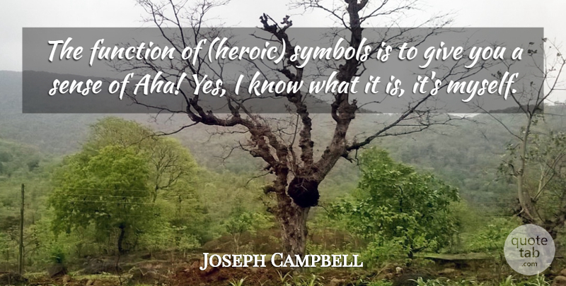 Joseph Campbell Quote About Giving, Heroic, Function: The Function Of Heroic Symbols...