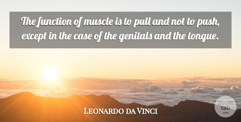 Leonardo da Vinci Quote About Cynical, Body, Tongue: The Function Of Muscle Is...