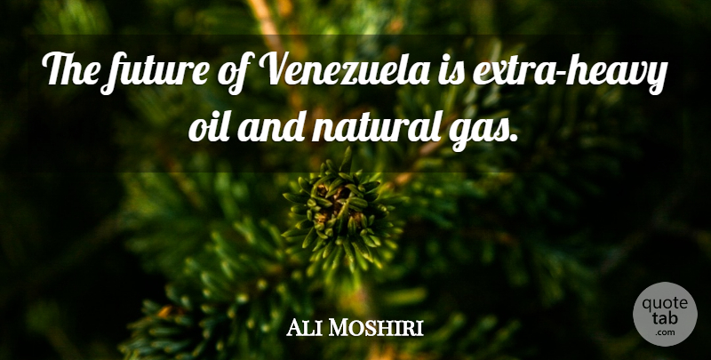 Ali Moshiri Quote About Future, Natural, Oil, Venezuela: The Future Of Venezuela Is...