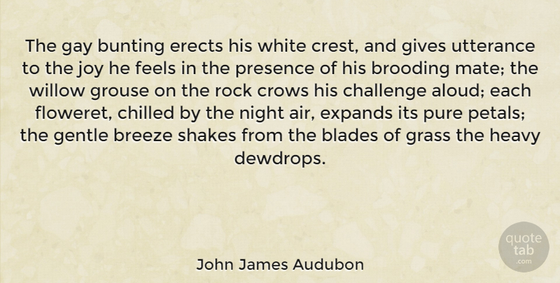 John James Audubon Quote About Blades, Breeze, Brooding, Chilled, Crows: The Gay Bunting Erects His...