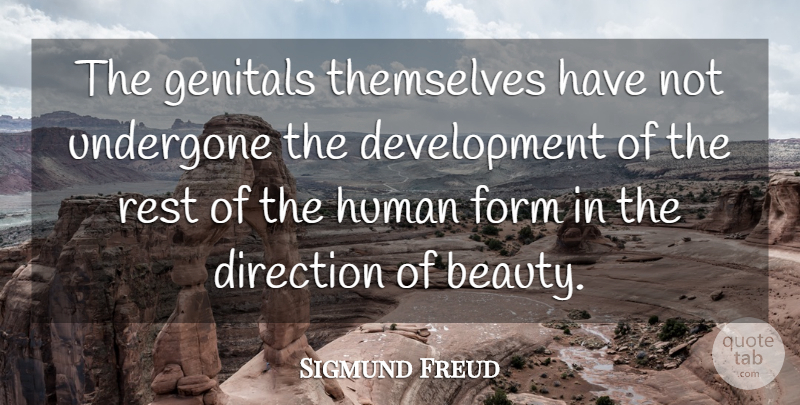 Sigmund Freud Quote About Development, Form, Humans: The Genitals Themselves Have Not...