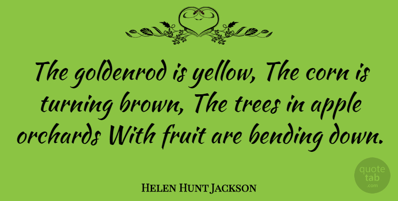 Helen Hunt Jackson Quote About Yellow, Apples, Bending Down: The Goldenrod Is Yellow The...