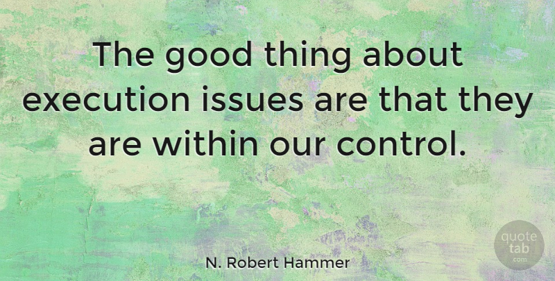 N. Robert Hammer Quote About Good, Issues, Within: The Good Thing About Execution...