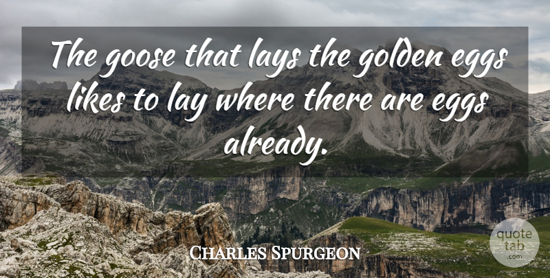 Charles Spurgeon Quote About Success, Eggs, Laziness: The Goose That Lays The...
