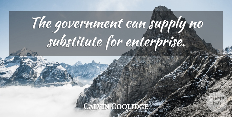 Calvin Coolidge Quote About Government, Substitutes, Enterprise: The Government Can Supply No...