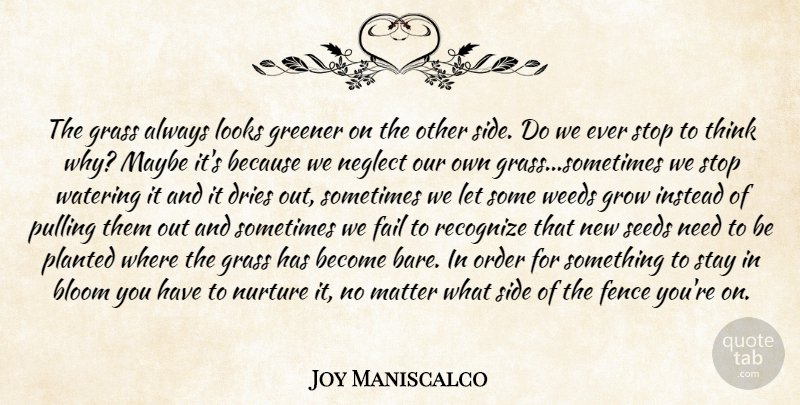 Joy Maniscalco Quote About Bloom, Fail, Fence, Grass, Greener: The Grass Always Looks Greener...