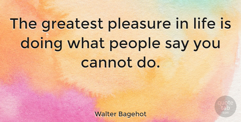 Walter Bagehot Quote About Cannot, English Author, Great, Life, People: The Greatest Pleasure In Life...