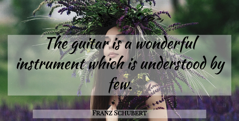 Franz Schubert Quote About Guitar, Wonderful, Instruments: The Guitar Is A Wonderful...