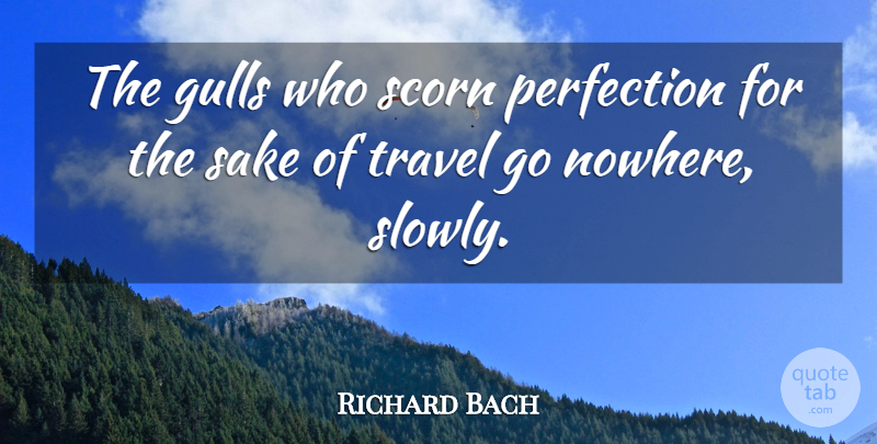 Richard Bach Quote About Perfection, Sake, Scorn, Travel: The Gulls Who Scorn Perfection...