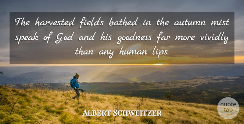 Albert Schweitzer Quote About Autumn, Fields, Lips: The Harvested Fields Bathed In...