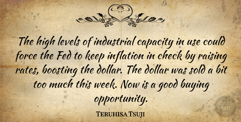 Teruhisa Tsuji Quote About Bit, Buying, Capacity, Check, Dollar: The High Levels Of Industrial...