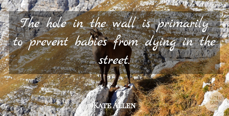 Kate Allen Quote About Babies, Dying, Hole, Prevent, Primarily: The Hole In The Wall...