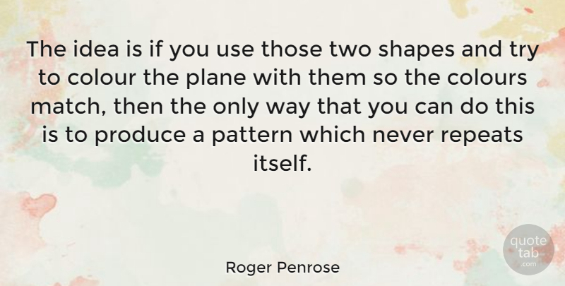 Roger Penrose Quote About Colour, Colours, English Physicist, Pattern, Plane: The Idea Is If You...
