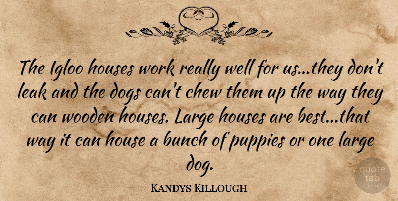 Kandys Killough Quote About Bunch, Chew, Dogs, Houses, Large: The Igloo Houses Work Really...