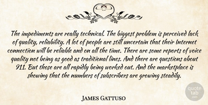 James Gattuso Quote About Biggest, Connection, Good, Growing, Internet: The Impediments Are Really Technical...